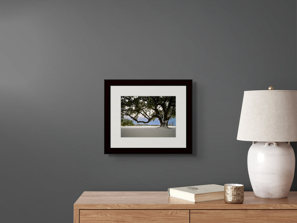 Aubier - Timed Edition