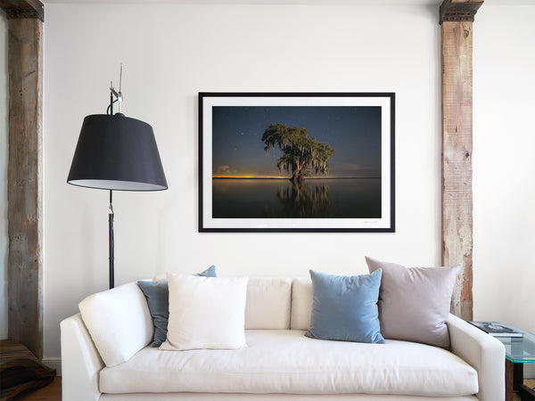 Ducloux - Frank Relle Photograph - Louisiana - Cypress Tree